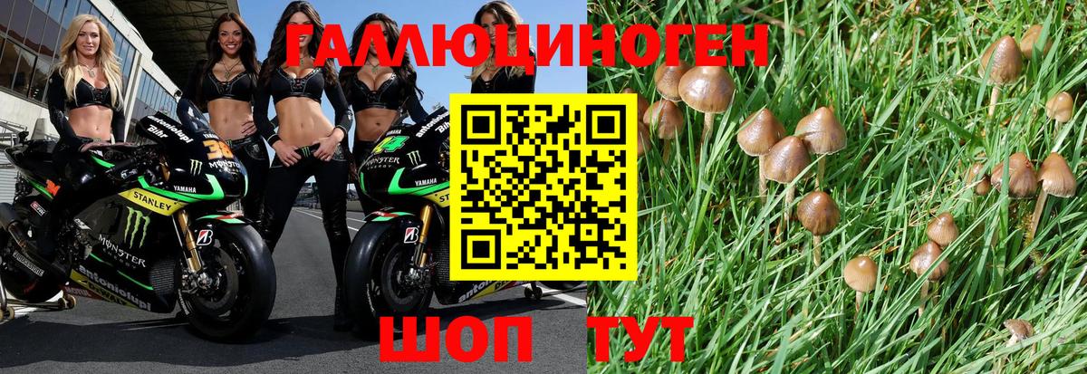 МЕТАДОН Карталы