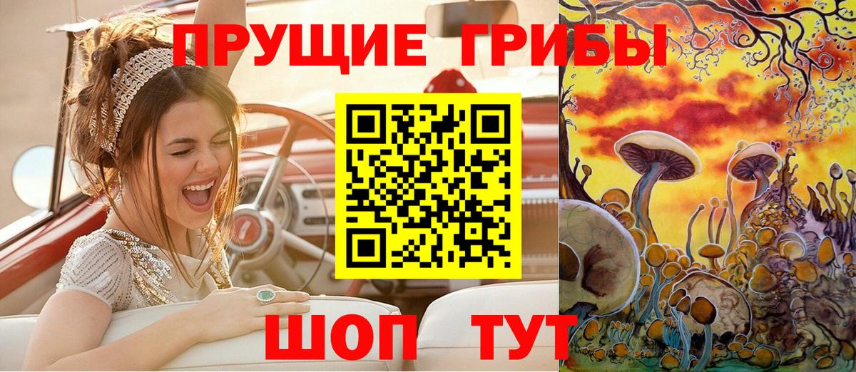 Галлюциногенные грибы Psilocybine cubensis  Вход с VPN  Карталы 