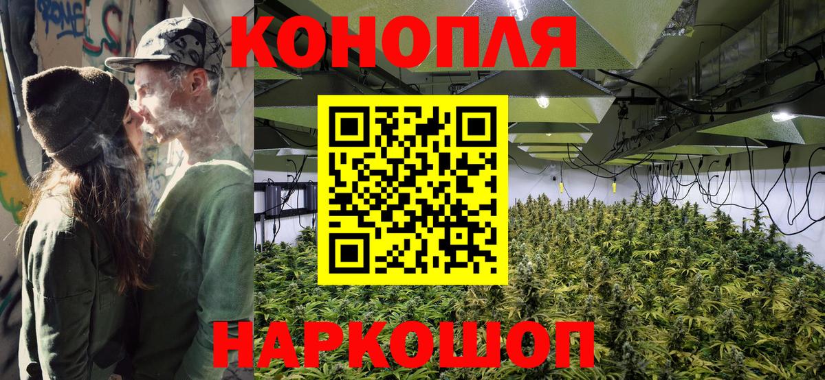 Канабис VHQ  Бошки Шишки план  Бошки Шишки семена  Вход с VPN  Карталы  Конопля сатива 